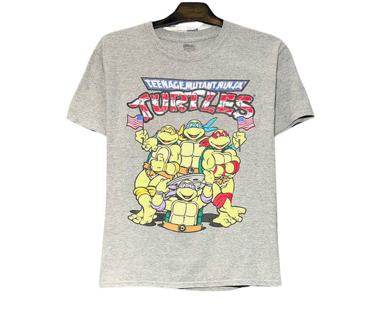 Turtles: American Flags